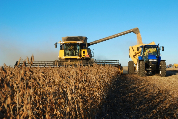 Seguro Agronegócios